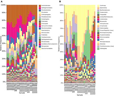 In situ Prokaryotic and Eukaryotic Communities on Microplastic Particles in a Small Headwater Stream in Germany